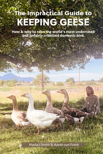 The Impractical Guide to Keeping Geese How & why to Raise the World's Most Underrated and Unfairly Criticized Domestic Bird