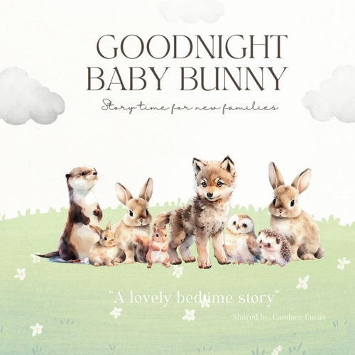 Goodnight Baby Bunny Warming Bedtime Story and a Positive Read for ALL New Families. "Brave and Tall, Or Not All... You'll Always be Just Right "