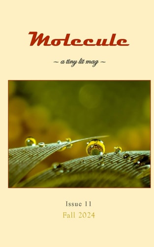 Molecule A Tiny Lit Mag #11: Fall 2024