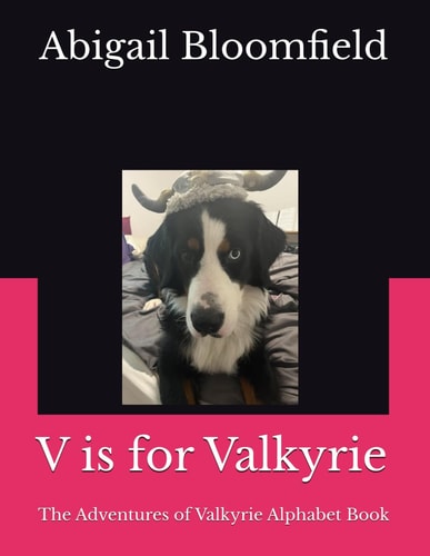 V is for Valkyrie The Adventures of Valkyrie Alphabet Book