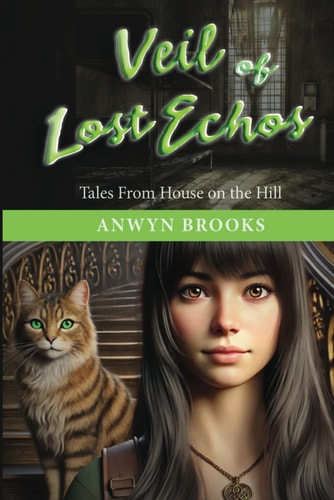 Veil of the Lost Echos Tales From House on the Hill