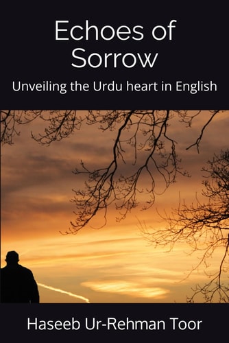 Echoes of Sorrows Unveiling the Urdu Heart in English