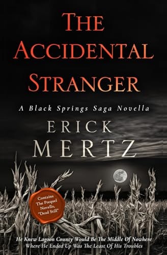 The Accidental Stranger A Black Springs Saga Paranormal Mystery