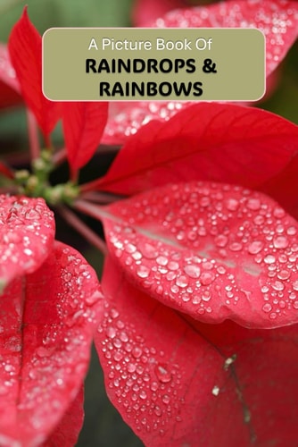 A Picture Book of Raindrops & Rainbows A Gentle Journey Through Nature's Beauty for Seniors with Alzheimer's Or Dementia