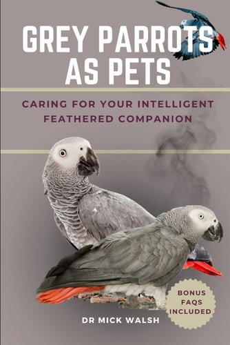 Grey Parrots as Pets Caring for Your Intelligent Feathered Companion