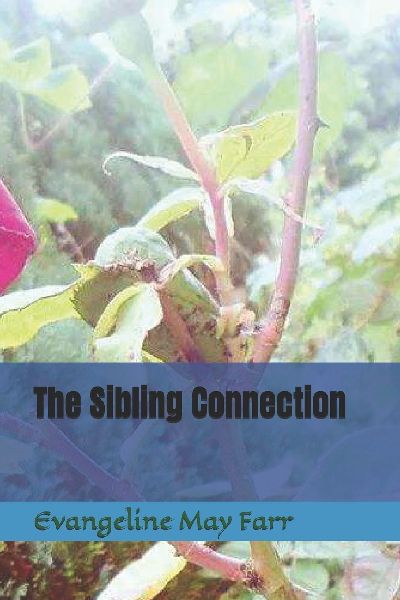 The Sibling Connection