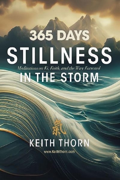Stillness In The Storm: 365 Meditations on Ki, Faith, and the Way