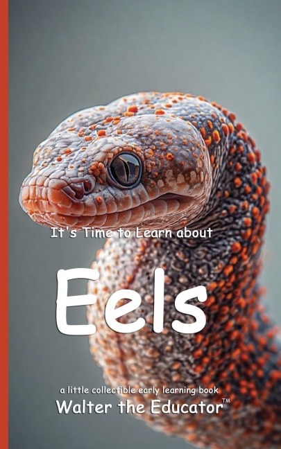 Its Time to Learn about Eels