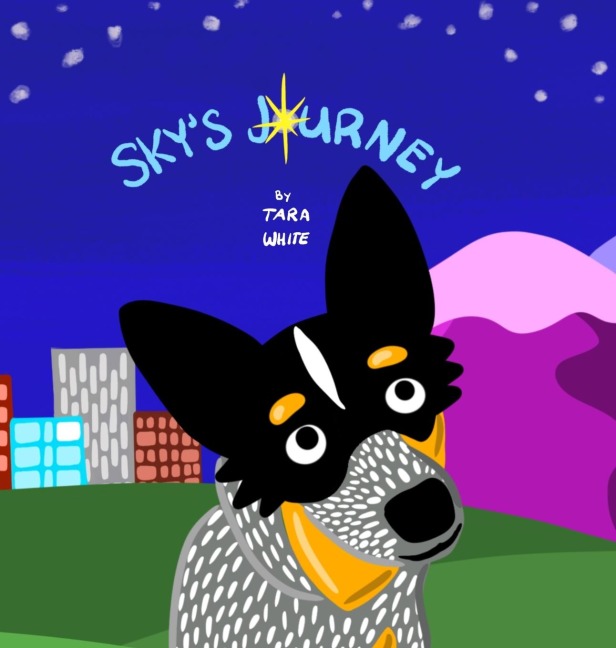 Skys Journey