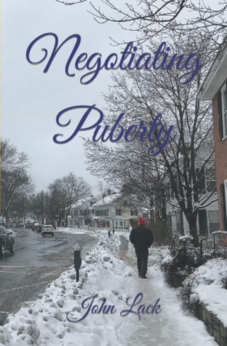Negotiating Puberty