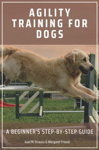 Agility Training for Dogs A Beginner's Step-by-Step Guide