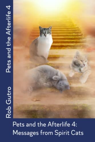 Pets and the Afterlife 4 Messages from Spirit Cats