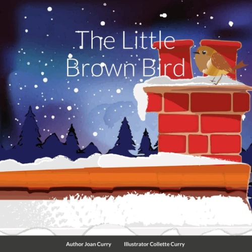 The Little Brown Bird