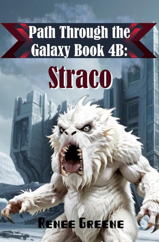 Straco Book 4B