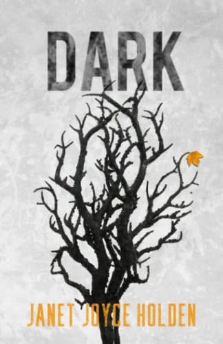 Dark Carousel Book 3