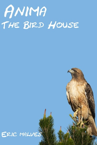 Anima: The Bird House