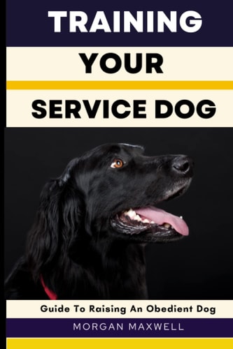 Training Your Service Dog Guide to Raising an Obedient Dog