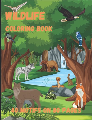 Wildlife Coloring Book 40 Motifs on 80 Pages. Painting Fun for Young and Old