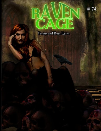 Raven Cage Poetry and Prose Zine