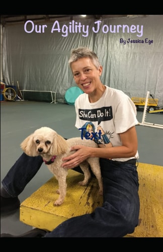 Our Agility Journey Two Years of Obstacles and Joy