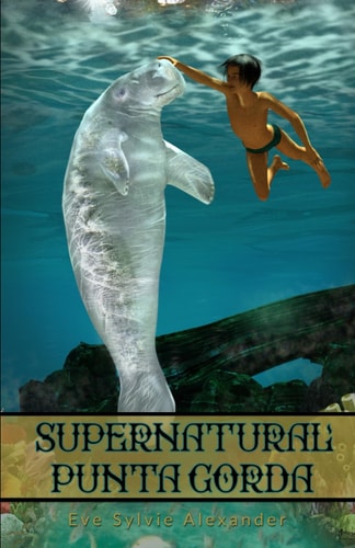 Supernatural Punta Gorda A Collection of 15 Spooky Stories