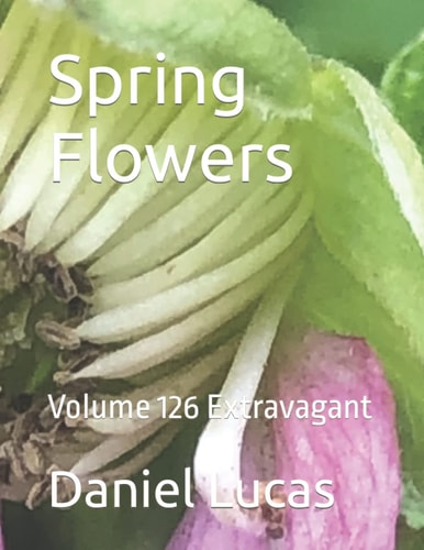 Spring Flowers Volume 126 Extravagant