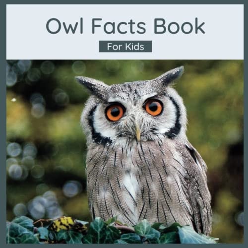 Owl Facts Book For Kids Owl Children's Book