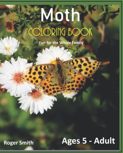 Moth Coloring Book Fun for the Whole Family