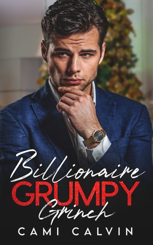 Billionaire Grumpy Grinch Enemies to Lovers Brother's Best Friend Holiday Romance