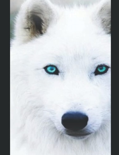 The Rejected White Wolf