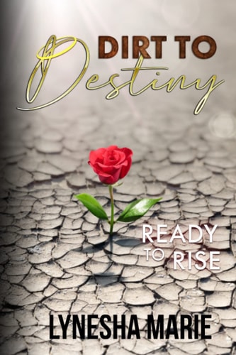 Dirt to Destiny Ready to Rise