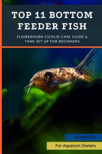Top 11 Bottom Feeder Fish Best Tank Cleaners