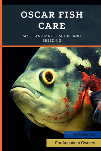 Oscar Fish Care Size, Tank Mates, Setup, and Breeding