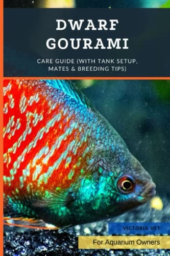 Dwarf Gourami Care Guide (with Tank Setup, Mates & Breeding Tips)
