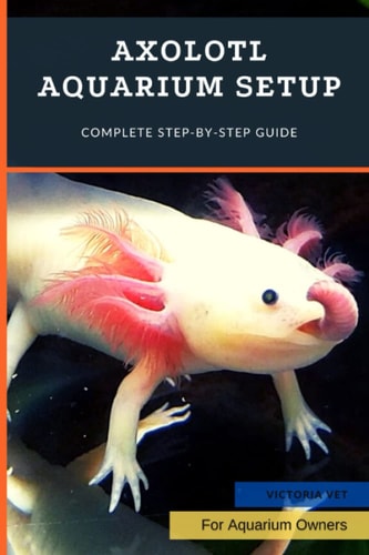 Axolotl Aquarium Setup Complete Step-by-Step Guide
