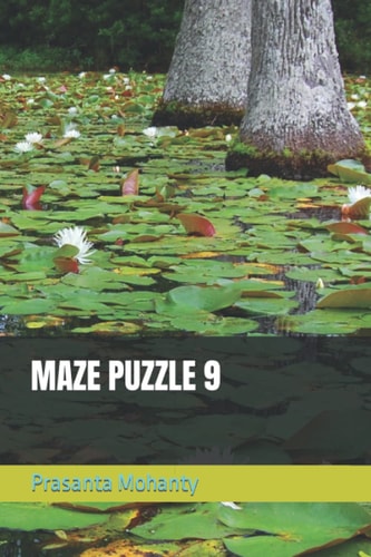 Maze Puzzle 9