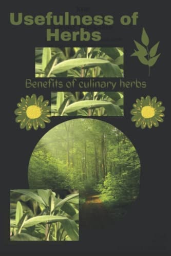 Usefulness of Herbs Benefits of Culinary Herb