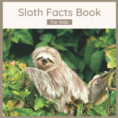 Sloth Facts Book For Kids Sloth Book For Children
