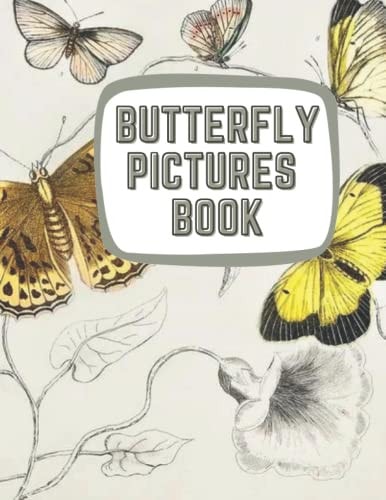 Learning About Butterflies Illustrations of Butterflies & Moths