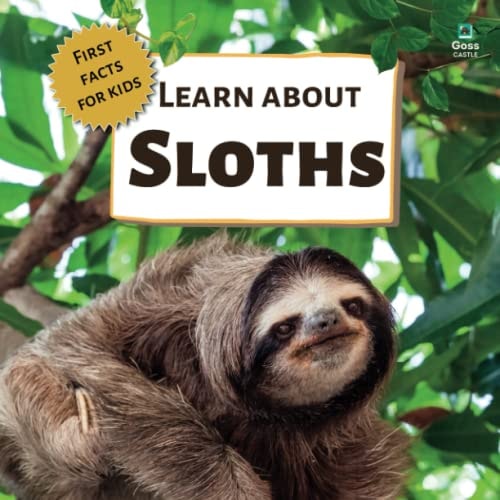 Learn About Sloths First Facts for Kids