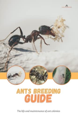 Ants Breeding Guide The Life and Maintenance of Ant Colonies