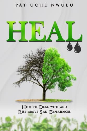 Heal How To Deal With And Rise Above Sad Experiences