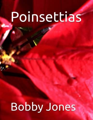 Poinsettias