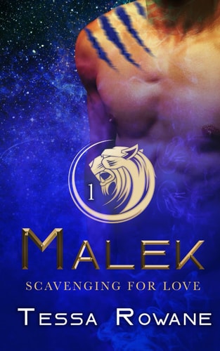 Malek A Space Scavenger Rescue Short Story