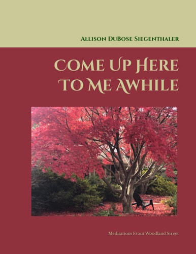 Come Up Here To Me Awhile Meditations From Woodland Street