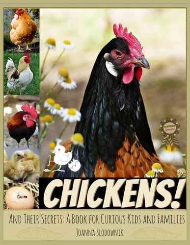 Chickens! And Their Secrets A Book for Curious Kids and Families