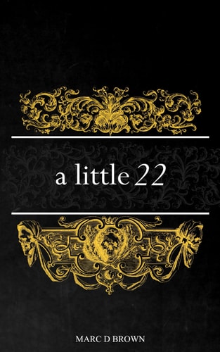 A Little 22 A Poetry Collection