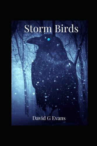 Storm Birds