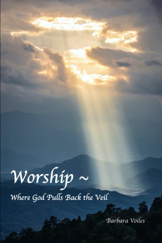 Worship - Where God Pulls Back the Veil