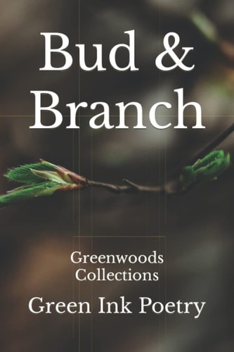 Bud & Branch Greenwoods Collections